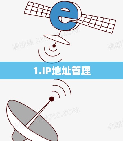1.IP地址管理
