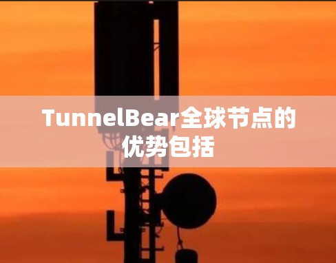 TunnelBear全球节点的优势包括