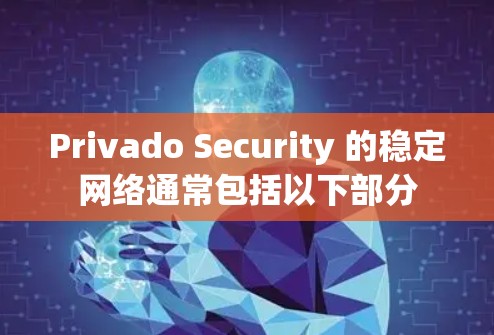 Privado Security 的稳定网络通常包括以下部分