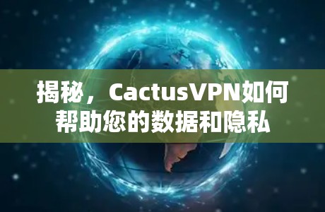 揭秘，CactusVPN如何帮助您的数据和隐私