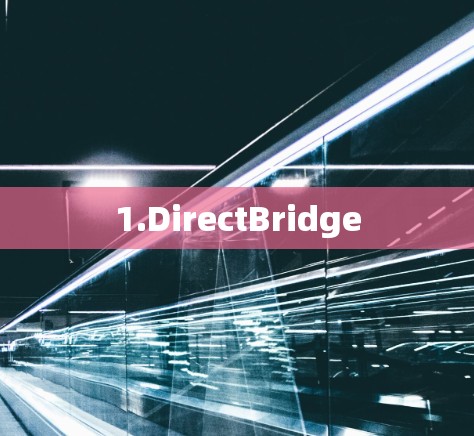 1.DirectBridge
