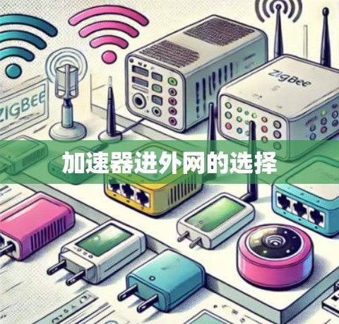 加速器进外网的选择