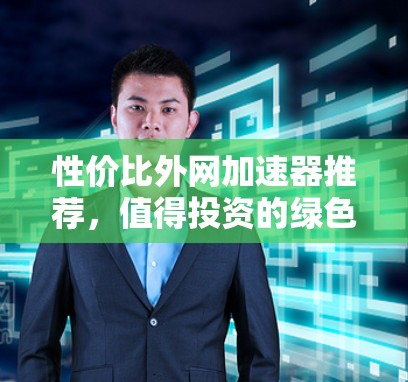 性价比外网加速器推荐，值得投资的绿色解决方案