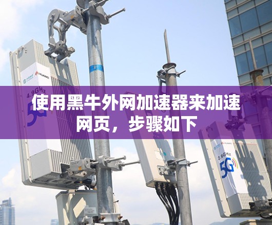 使用黑牛外网加速器来加速网页，步骤如下