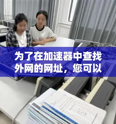 为了在加速器中查找外网的网址，您可以按照以下步骤操作