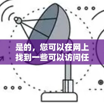 是的，您可以在网上找到一些可以访问任何网站的加速器，特别是那些可能在本地服务器上运行的网站。以下是一些选择的工具