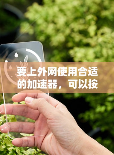 要上外网使用合适的加速器，可以按照以下步骤操作