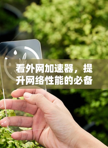看外网加速器，提升网络性能的必备工具