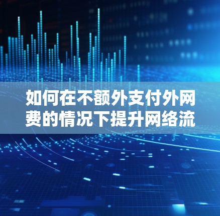 如何在不额外支付外网费的情况下提升网络流量