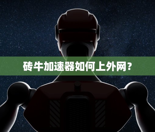 砖牛加速器如何上外网？