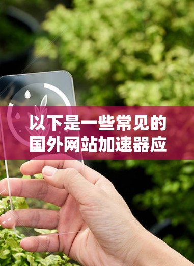 以下是一些常见的国外网站加速器应用