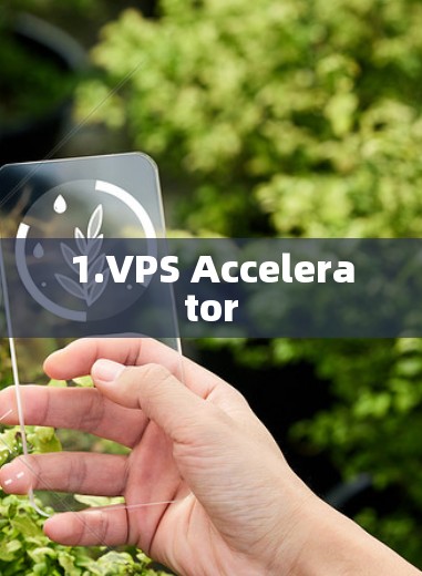 1.VPS Accelerator