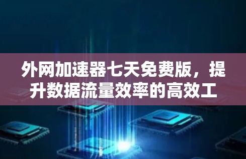 外网加速器七天免费版，提升数据流量效率的高效工具