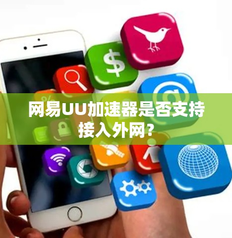 网易UU加速器是否支持接入外网？