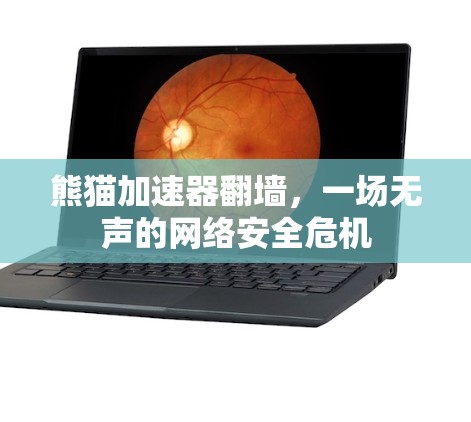 熊猫加速器翻墙，一场无声的网络安全危机