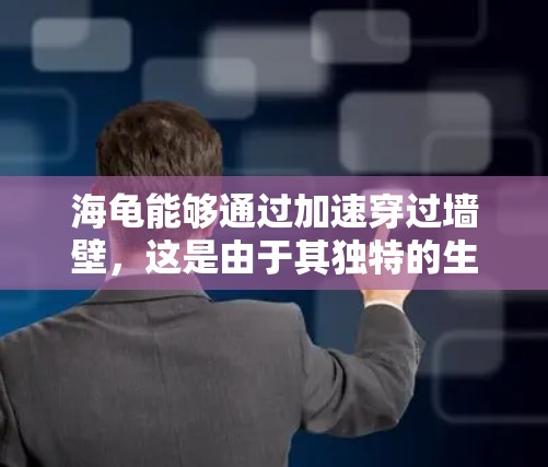 海龟能够通过加速穿过墙壁，这是由于其独特的生理结构和功能。以下是具体原因的解释