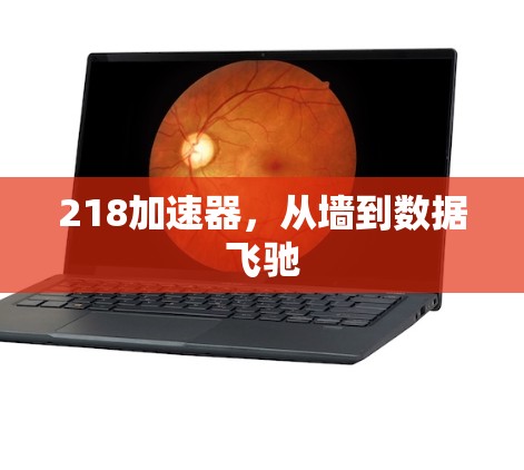 218加速器，从墙到数据飞驰