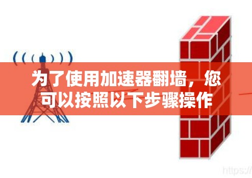 为了使用加速器翻墙，您可以按照以下步骤操作