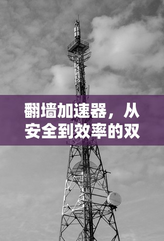 翻墙加速器，从安全到效率的双刃剑