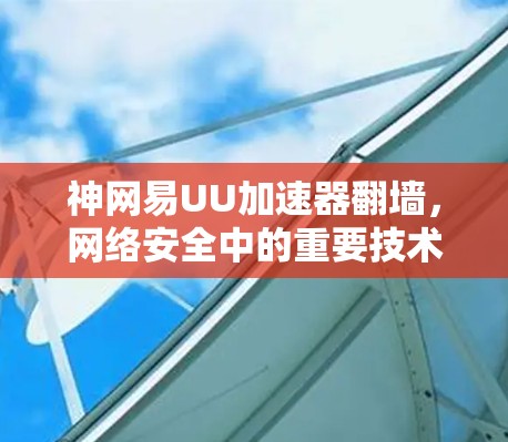 神网易UU加速器翻墙，网络安全中的重要技术