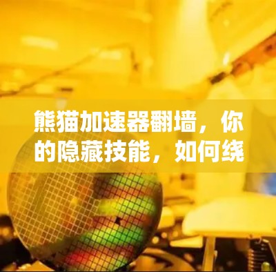 熊猫加速器翻墙，你的隐藏技能，如何绕过翻墙？