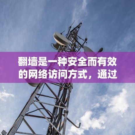 翻墙是一种安全而有效的网络访问方式，通过输入绕口令访问目标网站。以下是一个详细的步骤指南