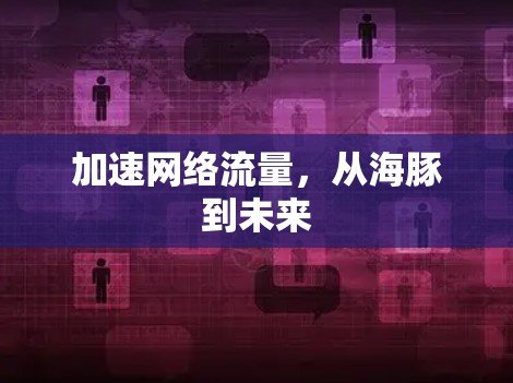 加速网络流量，从海豚到未来