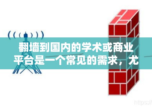 翻墙到国内的学术或商业平台是一个常见的需求，尤其是在需要快速获取高质量论文、数据或信息时。以下是一些常用的翻墙平台，这些平台通常提供学术论文、期刊文章、数据库等资源