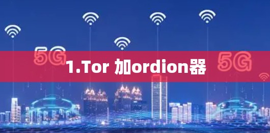 1.Tor 加ordion器