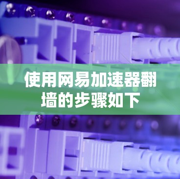 使用网易加速器翻墙的步骤如下