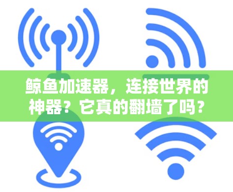 鲸鱼加速器，连接世界的神器？它真的翻墙了吗？