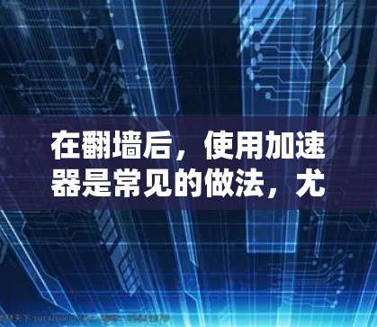在翻墙后，使用加速器是常见的做法，尤其是在需要快速访问不同网站或下载大量文件的情况下。然而，使用加速器并非绝对必须，以下是对这一问题的详细分析