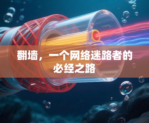 翻墙，一个网络迷路者的必经之路