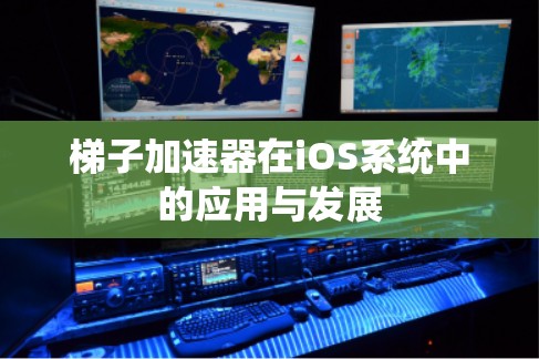 梯子加速器在iOS系统中的应用与发展
