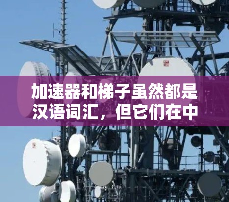 加速器和梯子虽然都是汉语词汇，但它们在中文中的含义、应用和用法有所不同