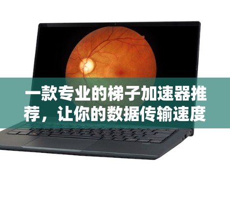 一款专业的梯子加速器推荐，让你的数据传输速度倍增