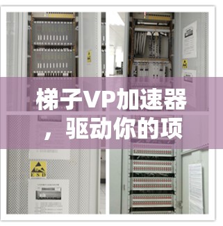 梯子VP加速器，驱动你的项目成功