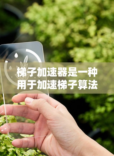 梯子加速器是一种用于加速梯子算法的工具，通常在机器学习和数据科学领域中被使用以提高模型的训练效率。以下是对梯子加速器的详细分析