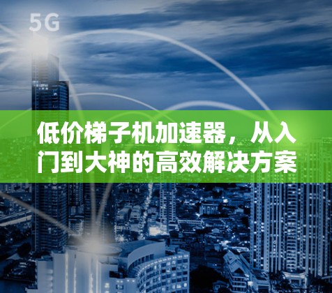 低价梯子机加速器，从入门到大神的高效解决方案