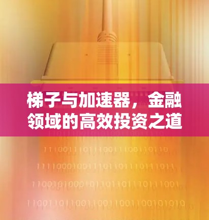 梯子与加速器，金融领域的高效投资之道