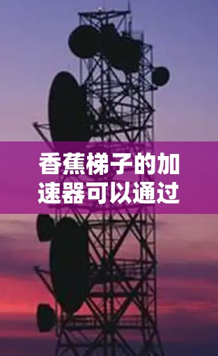 香蕉梯子的加速器可以通过以下优化方法来提升效率
