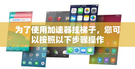 为了使用加速器挂梯子，您可以按照以下步骤操作