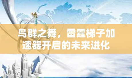 鸟群之舞，雷霆梯子加速器开启的未来进化