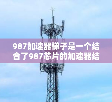 987加速器梯子是一个结合了987芯片的加速器结构，用于在特定领域中加速计算或加速器的运行。以下是对该概念的详细解释