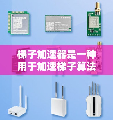 梯子加速器是一种用于加速梯子算法的优化技术，主要通过缓存和缓存缓存来减少每次查找的时间，从而提升整体性能。以下是关于梯子加速器的详细分析