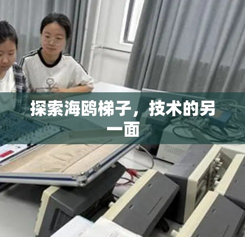 探索海鸥梯子，技术的另一面