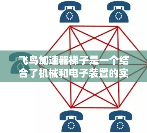 飞鸟加速器梯子是一个结合了机械和电子装置的实验setup，设计用于让飞鸟在梯子上加速。以下是该装置的详细说明
