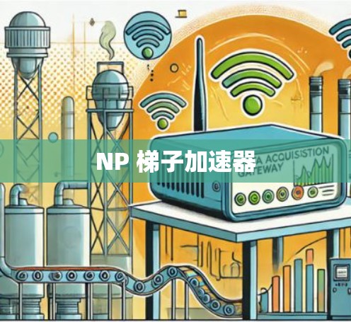 NP 梯子加速器