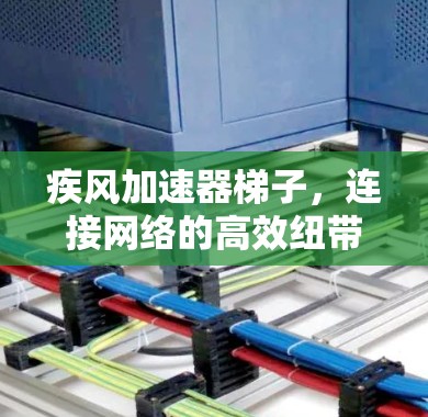 疾风加速器梯子，连接网络的高效纽带