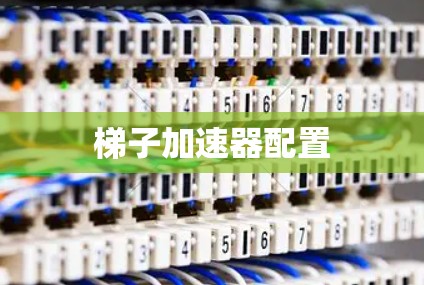 梯子加速器配置